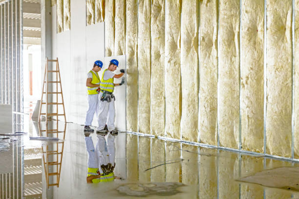 Best DIY Insulation Kits and Guidance in Thorofare, NJ